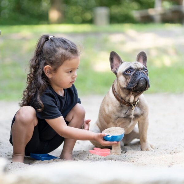 Zeltanhänger mieten: ideal für Kinder und Hunde